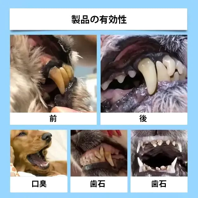 【公式ショップ】PETYYF® ペット用デンタル＆消化管ヘルス オーラルリキッド - 息を爽やかにし、歯石を除去、歯茎の再生を促進、歯を安定させる（犬猫兼用）- 本日80%OFF！🛒