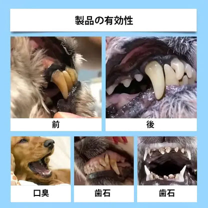 【公式ショップ】PETYYF® ペット用デンタル＆消化管ヘルス オーラルリキッド - 息を爽やかにし、歯石を除去、歯茎の再生を促進、歯を安定させる（犬猫兼用）- 本日80%OFF！🛒