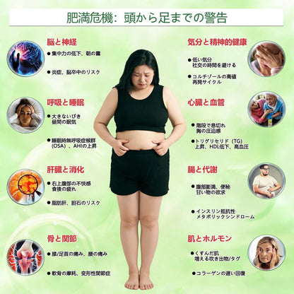 🛒GeeBeon®＆NAD+ 8-in-1 ナノ強化フォーミュラ【アップグレード版】内臓脂肪 / 肥満 / 糖尿病 / 睡眠時無呼吸 / 関節ケア / 肌のたるみ 集中サポート-   🎯