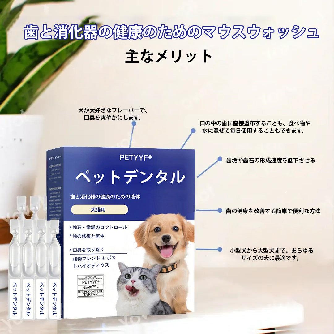 【公式ショップ】PETYYF® ペット用デンタル＆消化管ヘルス オーラルリキッド - 息を爽やかにし、歯石を除去、歯茎の再生を促進、歯を安定させる（犬猫兼用）- 本日80%OFF！🛒