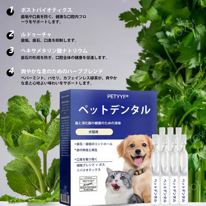 【公式ショップ】PETYYF® ペット用デンタル＆消化管ヘルス オーラルリキッド - 息を爽やかにし、歯石を除去、歯茎の再生を促進、歯を安定させる（犬猫兼用）- 本日80%OFF！🛒